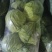 新鲜苏州甘蓝，当地产地直供，品质保证，**特惠，快来选购！