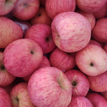 冷库苹果红富士