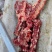 河北驴脊骨新鲜满肉多肉新鲜驴脊骨大量供应