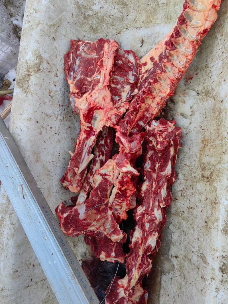 河北驴脊骨新鲜满肉多肉新鲜驴脊骨大量供应