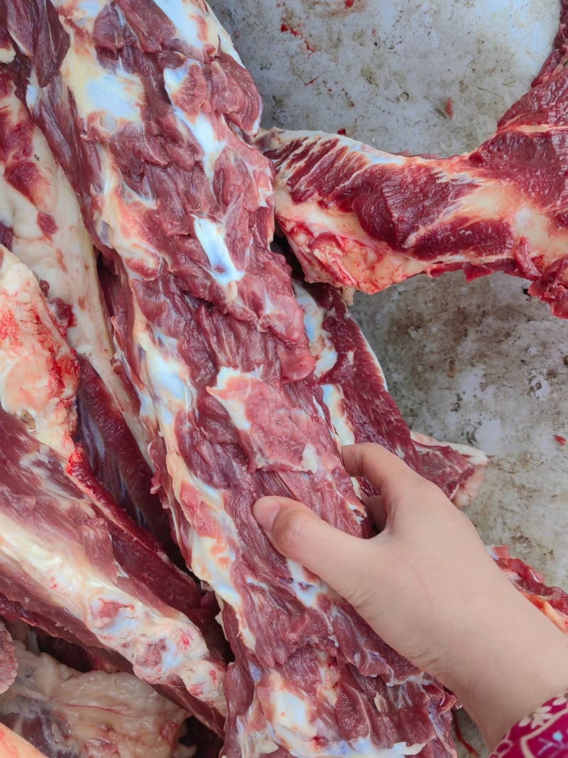 河北驴脊骨新鲜满肉多肉新鲜驴脊骨大量供应