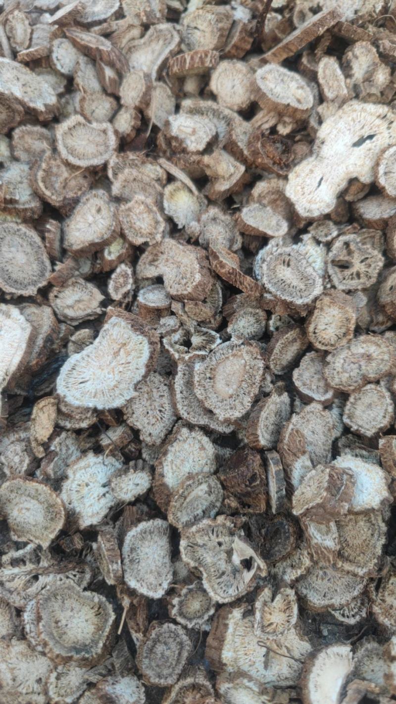 精品木香片大量上市产地直发价格优惠支持视频看货来电