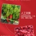 【推荐】泰辣2号干辣椒面辣椒粉一手货源量大价优欢迎咨询