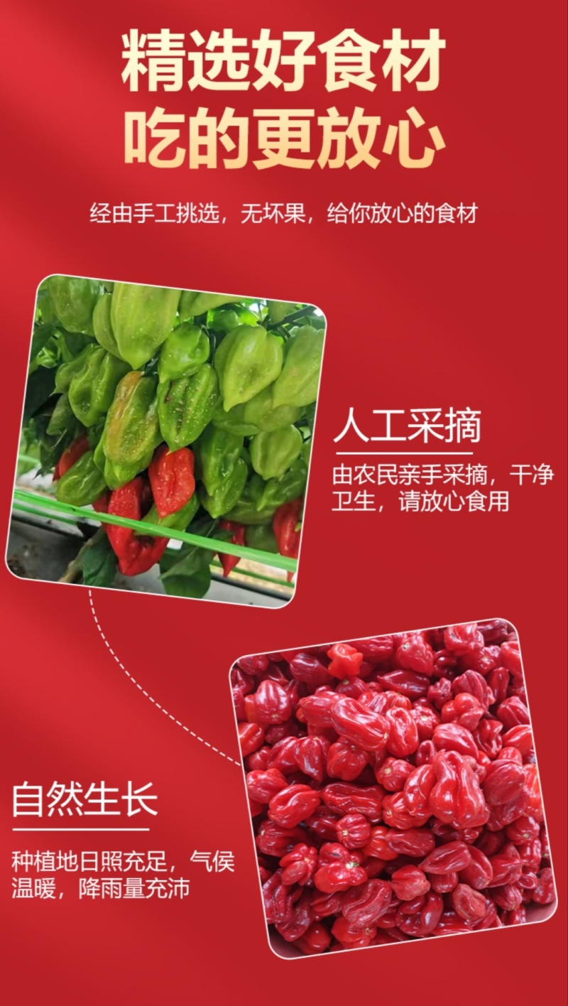 【推荐】泰辣2号干辣椒面辣椒粉一手货源量大价优欢迎咨询