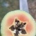 大青，大白，水果木瓜。大量供应。