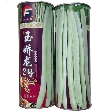 玉娇龙耐热无筋种架豆早熟高产春夏秋季豆角种子白芸豆九粒白