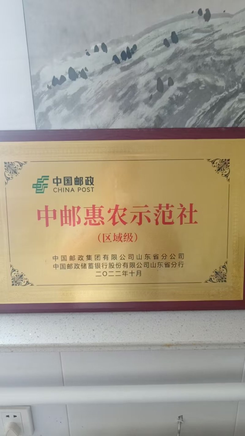【次日达】鲜活乳山生蚝产地直供支持礼盒量大从优欢迎致电订购