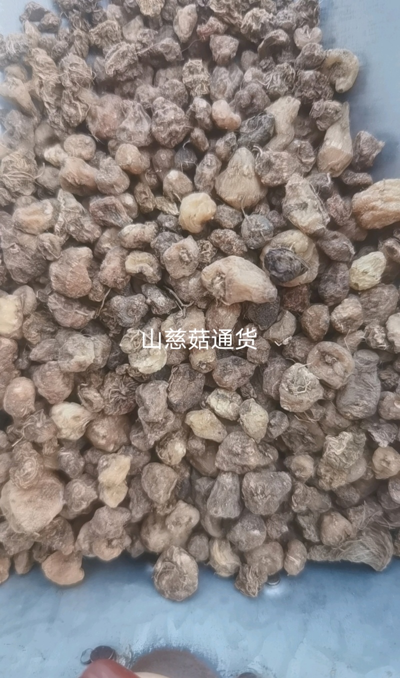 山慈菇国产干货2斤起包邮量大从优