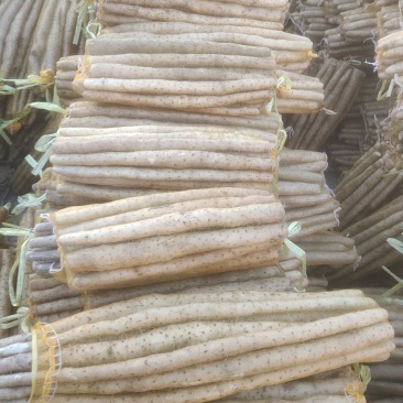 河北小白嘴白山药麻山药水洗货散货产地直供可供商超档口批发