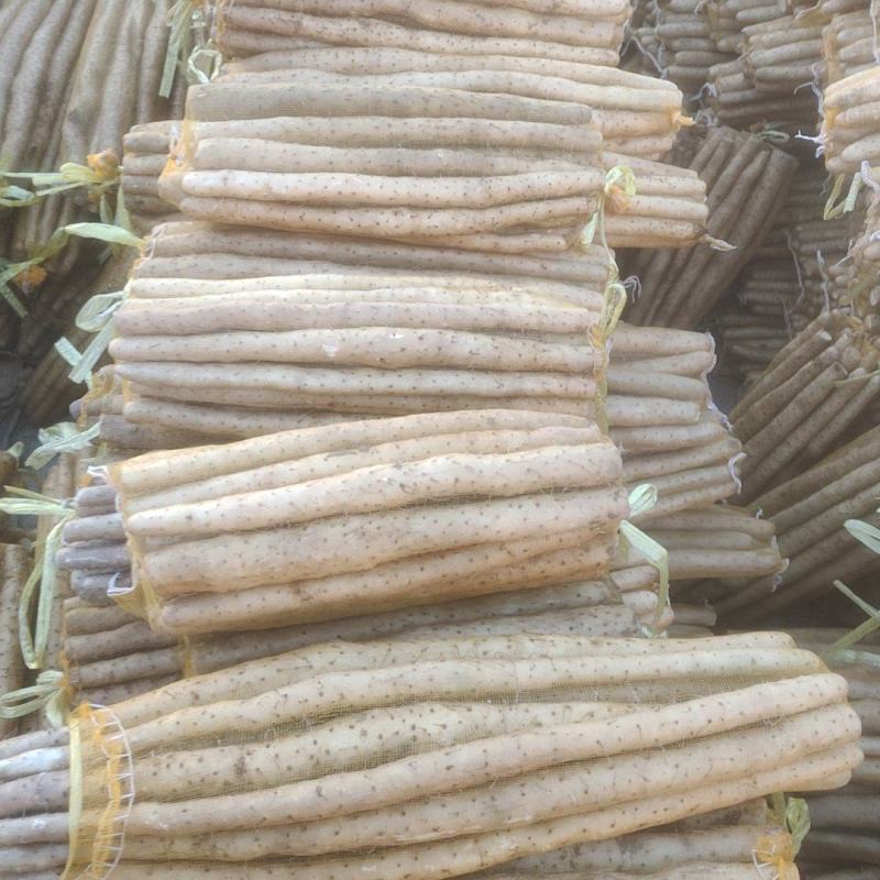 河北小白嘴白山药麻山药水洗货散货产地直供可供商超档口批发