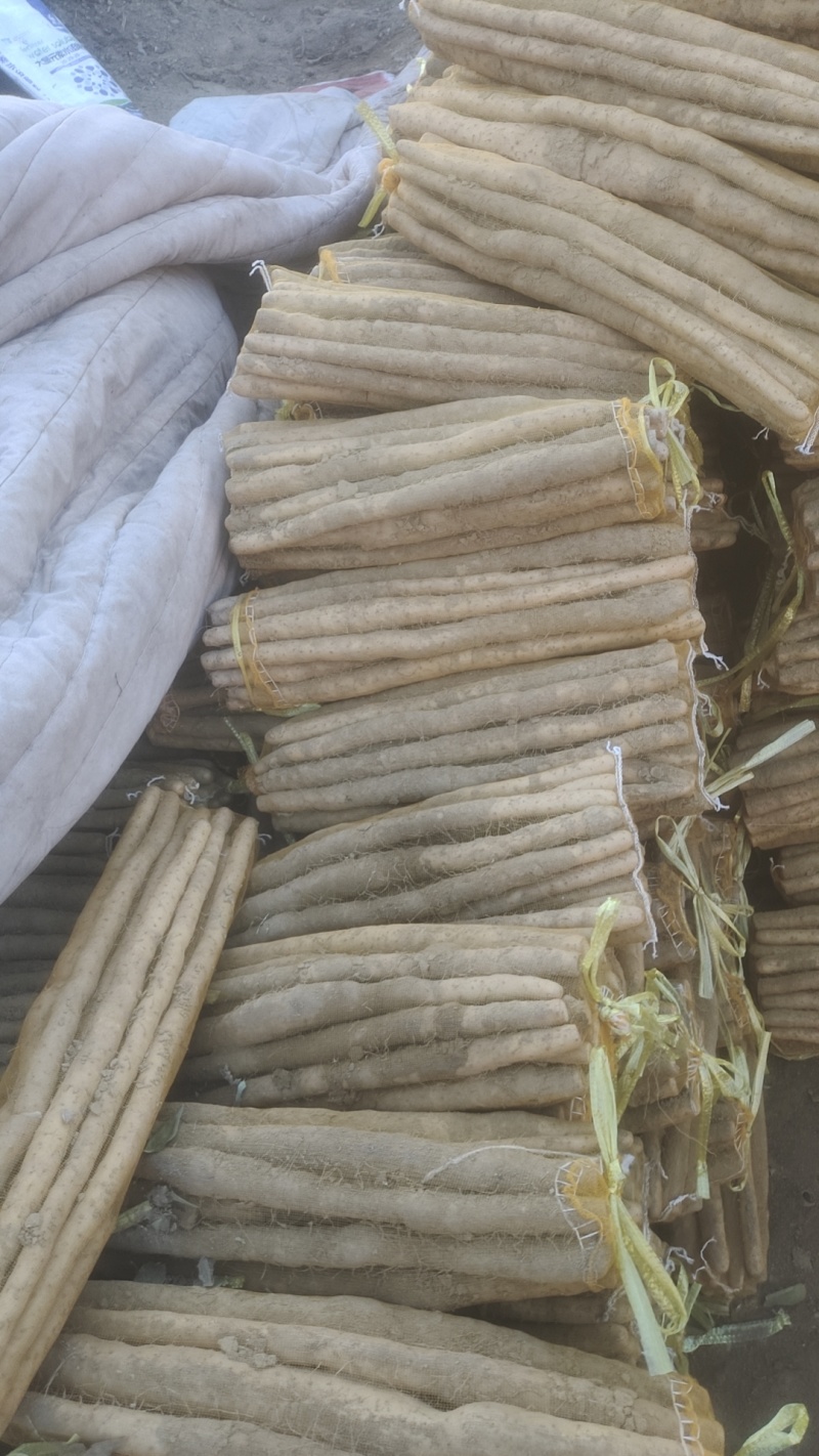 河北安平小白嘴山药麻山药铁棍山药网兜箱货黑头现货代收代发