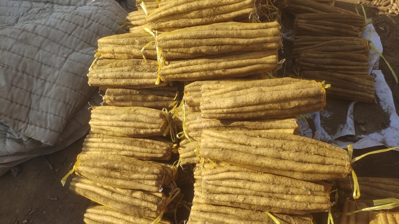 河北安平小白嘴山药麻山药铁棍山药网兜箱货黑头现货代收代发
