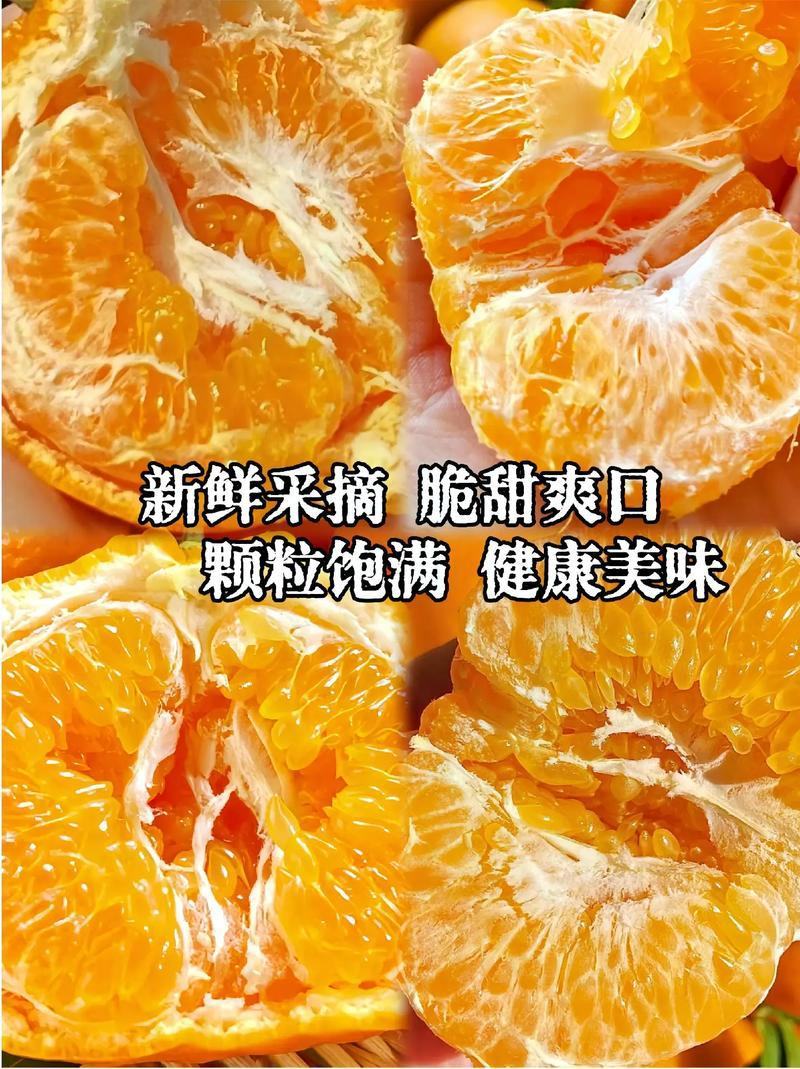 四川原产地耙耙柑春见柑橘大量供应保质保量诚信代办全国发货