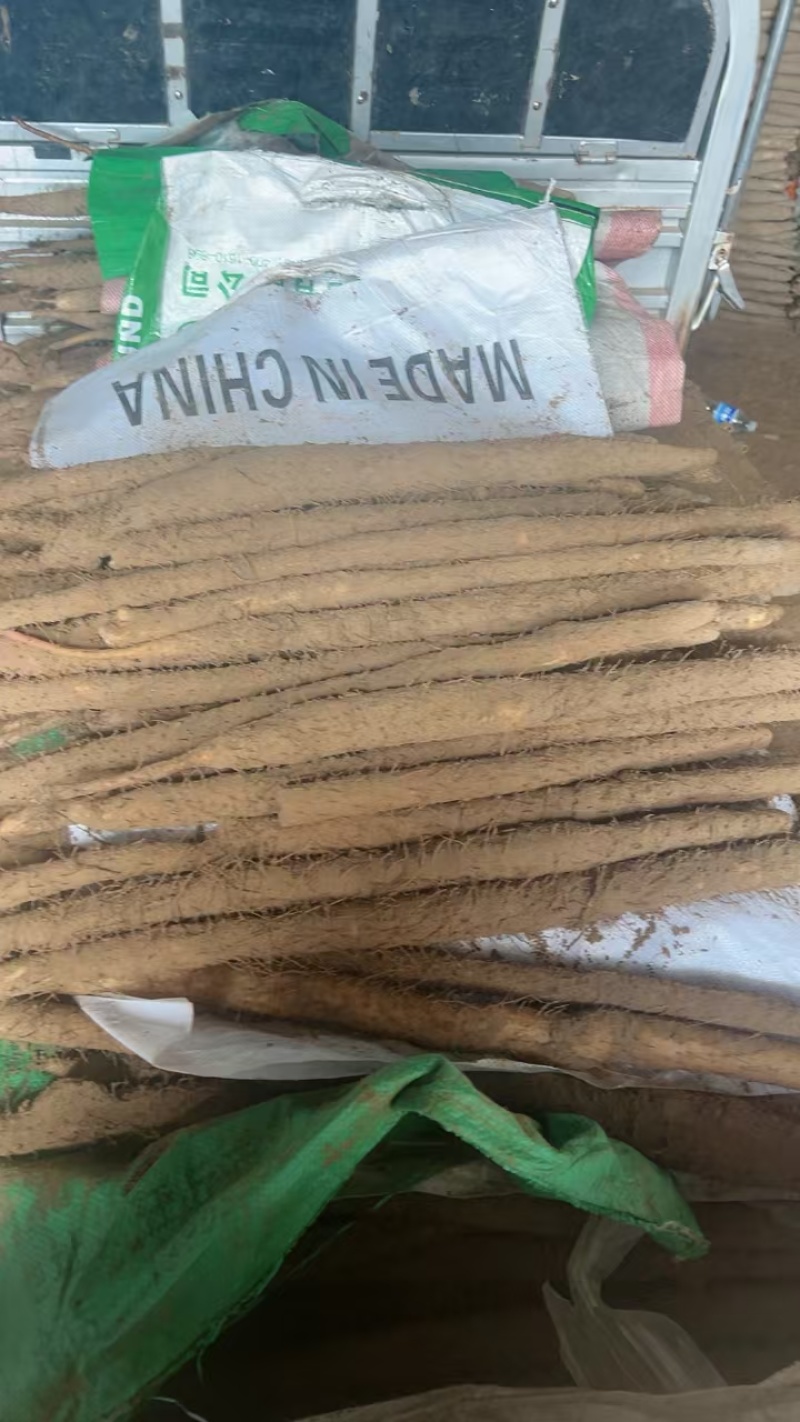 河北山药紫药，双棒品种齐全适合各大平台超市市场货源充足