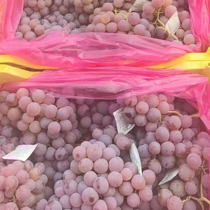 自家种植，自产自销，无中间商，精品龙眼