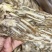 滋补品当归片无硫芯片可供当归个子