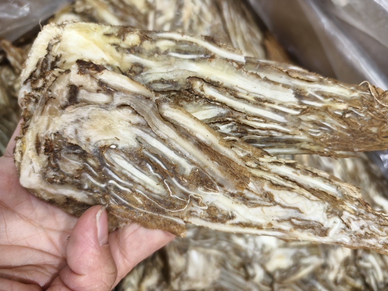 滋补品当归片无硫芯片可供当归个子