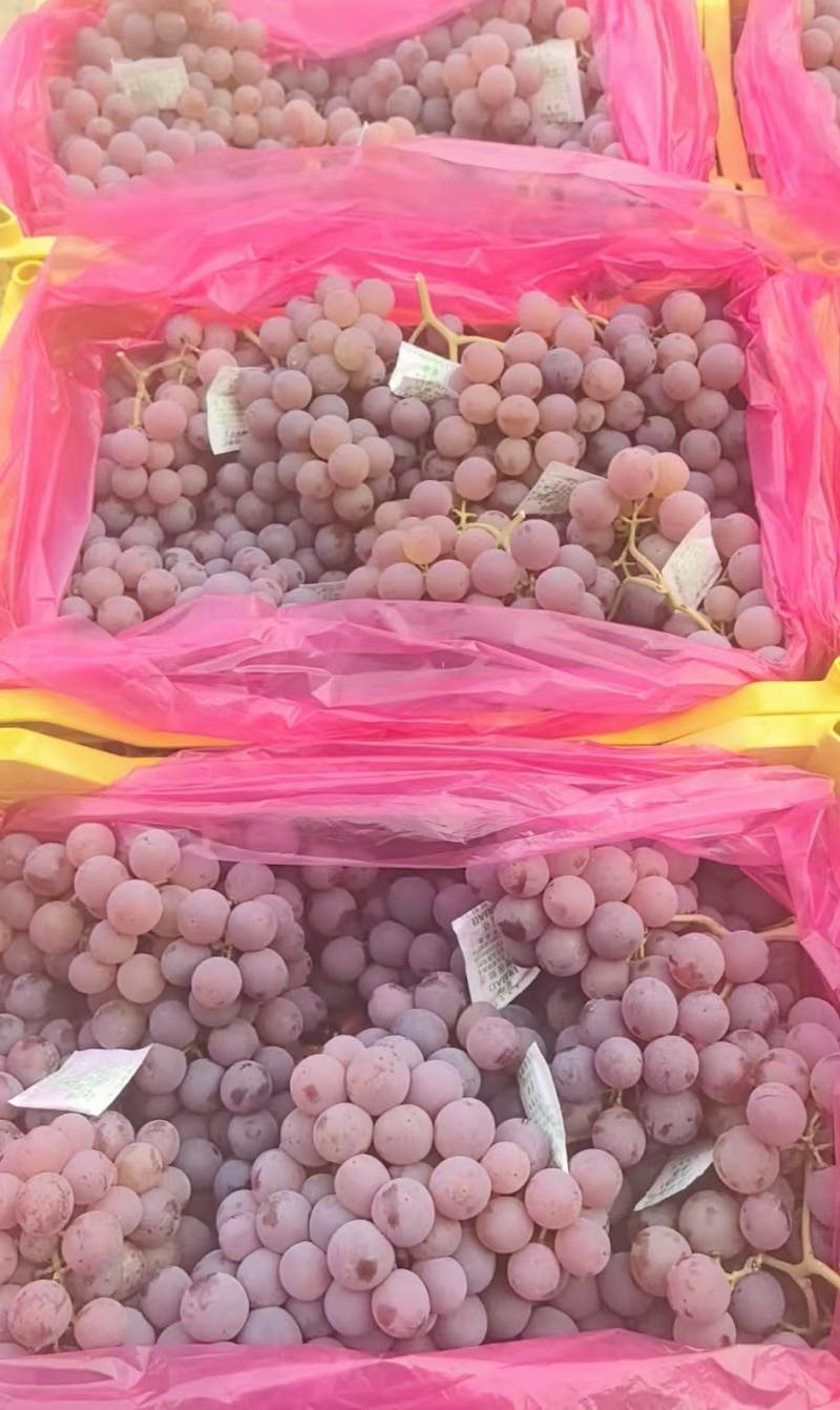 自家种植，自产自销，无中间商，精品龙眼