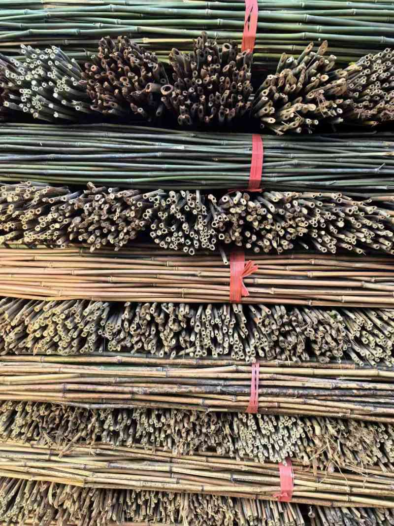 小竹子，菜架竹，豆角架，圣女果，辣椒，茄子，爬苗架杆