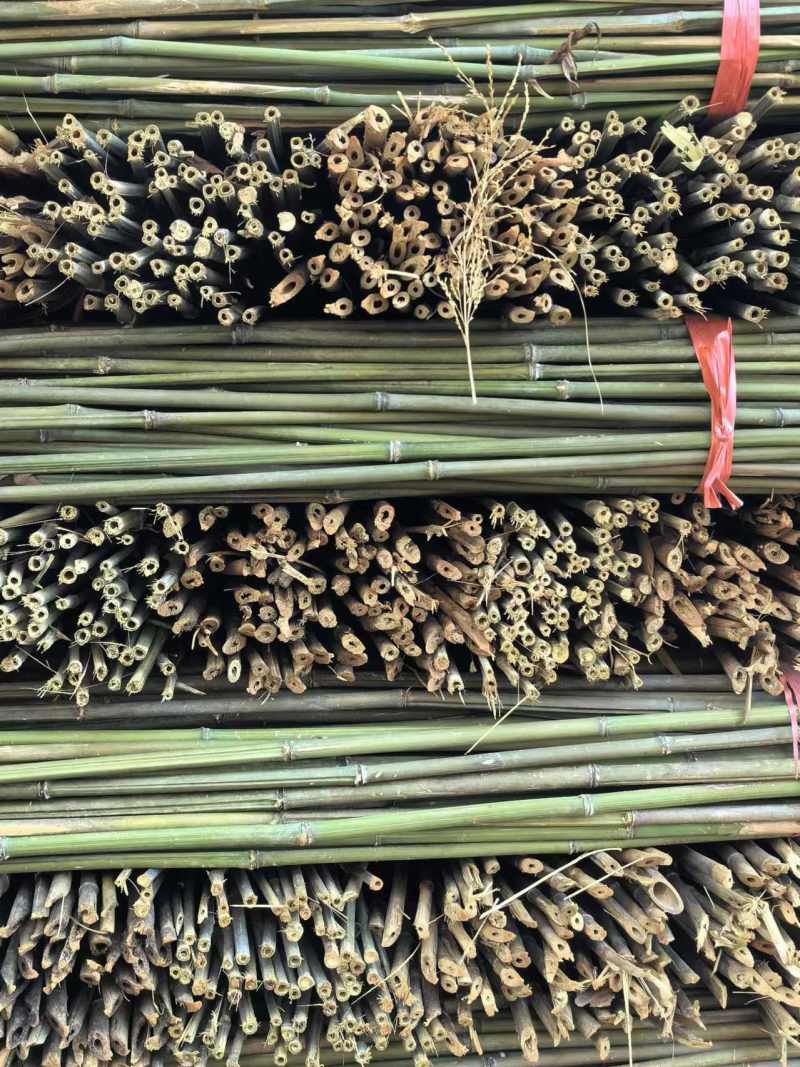 小竹子，菜架竹，豆角架，圣女果，辣椒，茄子，爬苗架杆