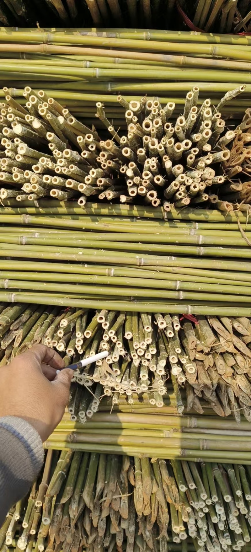 小竹子，菜架竹，豆角架，圣女果，辣椒，茄子，爬苗架杆