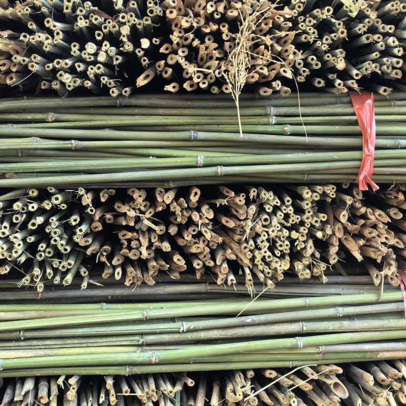 小竹子，菜架竹，豆角架，圣女果，辣椒，茄子，爬苗架杆
