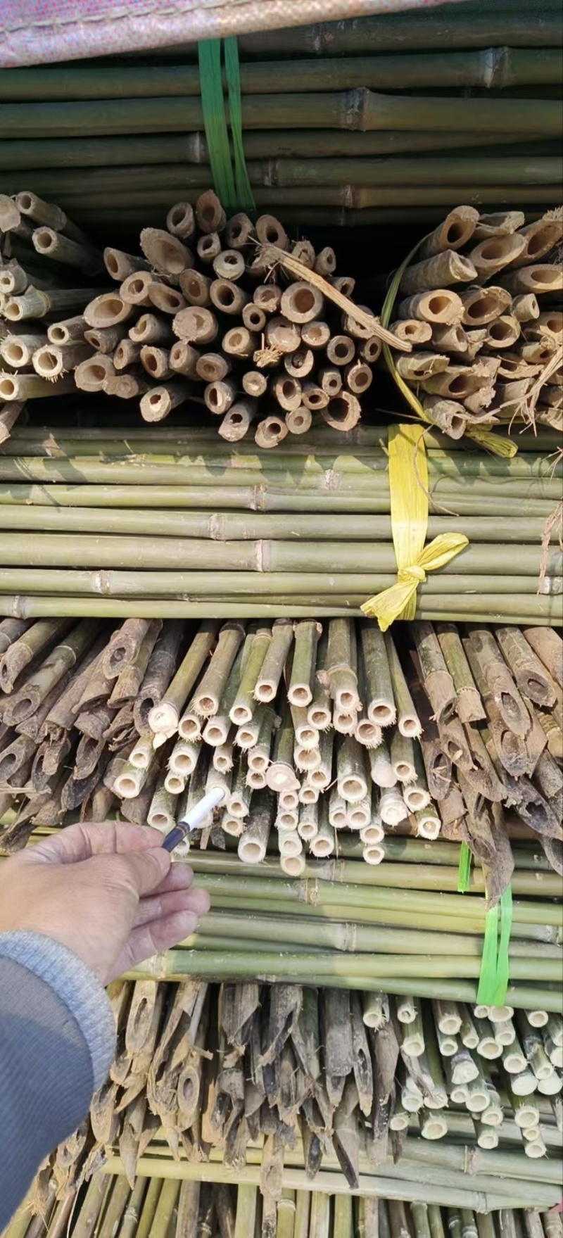 豆角架，黄瓜，圣女果，茄子，辣椒，山药，百香果架杆