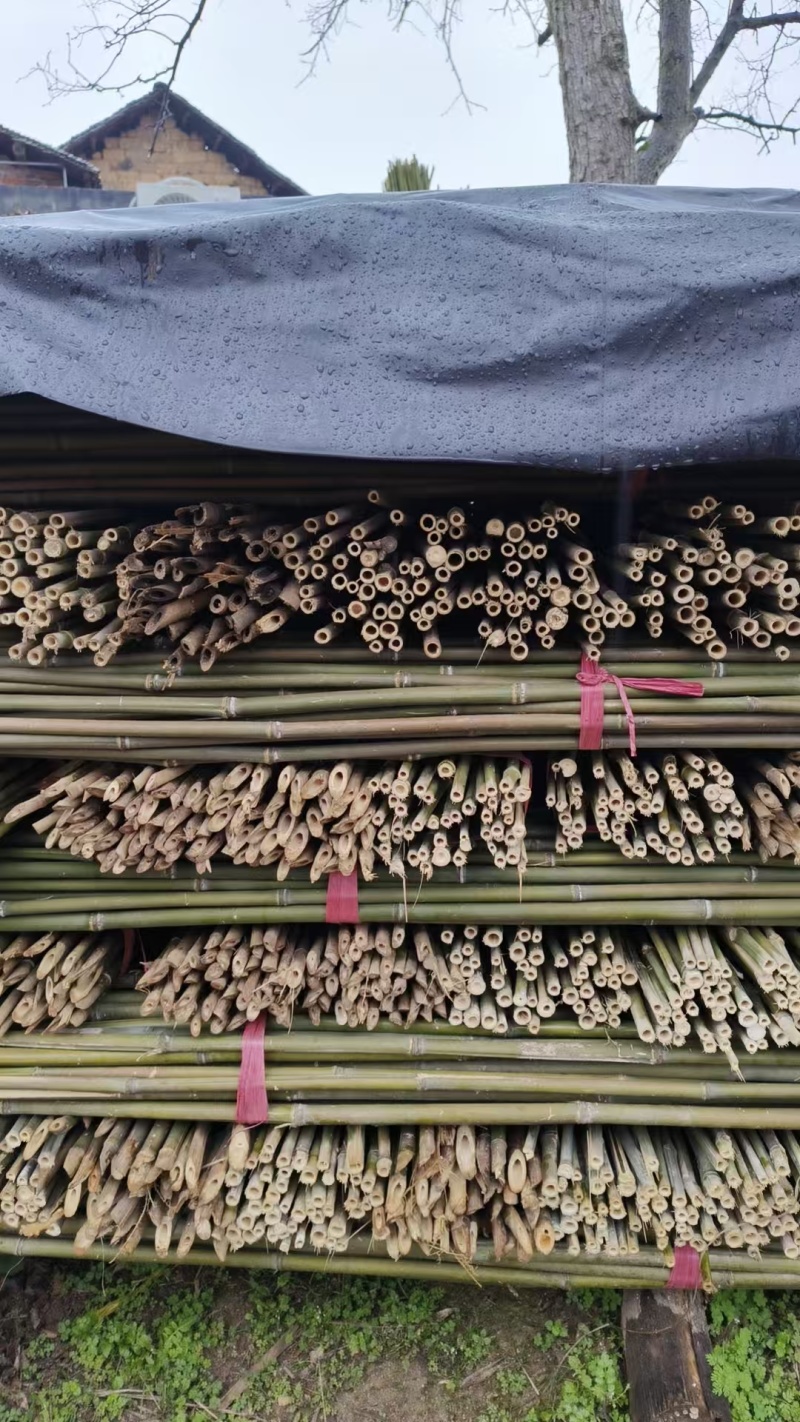 豆角架，黄瓜，圣女果，茄子，辣椒，山药，百香果架杆