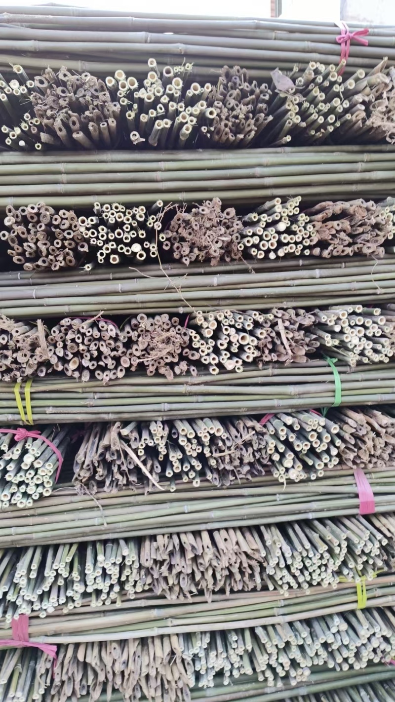 豆角架，黄瓜，圣女果，茄子，辣椒，山药，百香果架杆