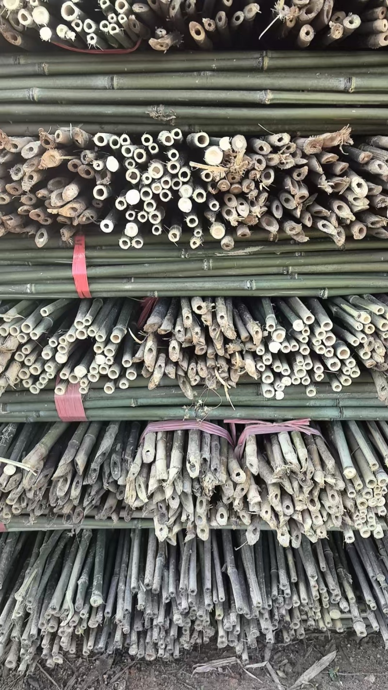 豆角架，黄瓜，圣女果，茄子，辣椒，山药，百香果架杆
