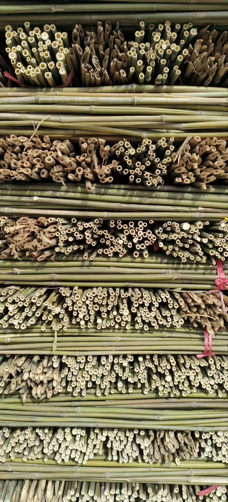豆角架，黄瓜，圣女果，茄子，辣椒，山药，百香果架杆