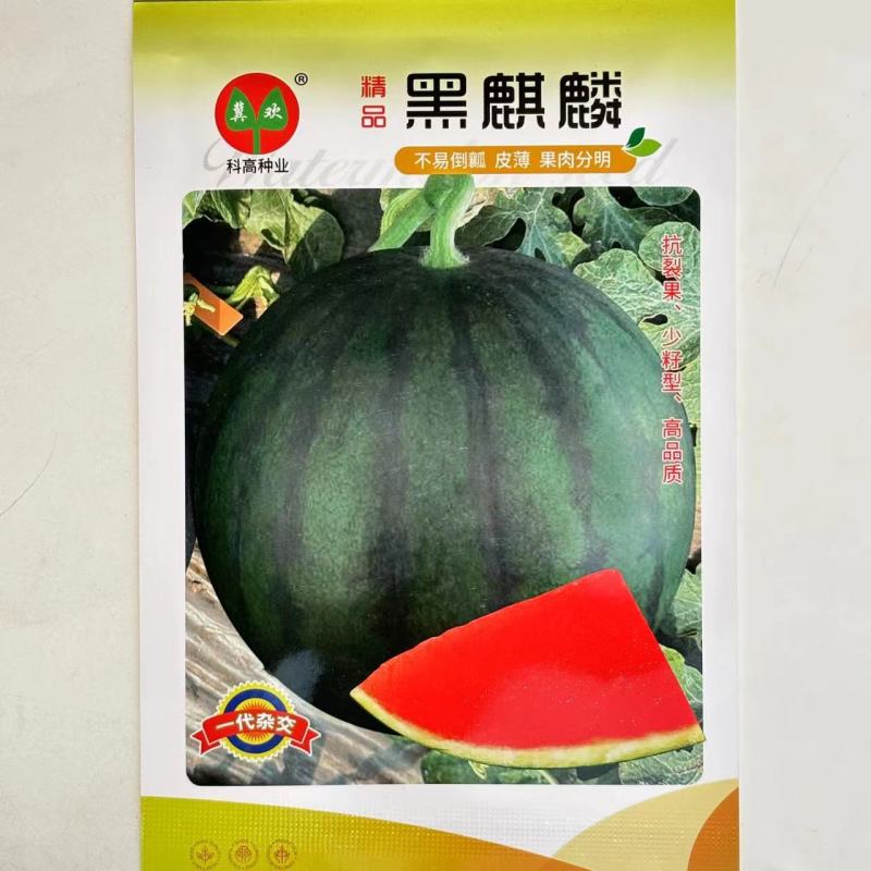 科高黑麒麟西瓜种子特大果抗病耐重茬西瓜种子耐裂果少籽型西
