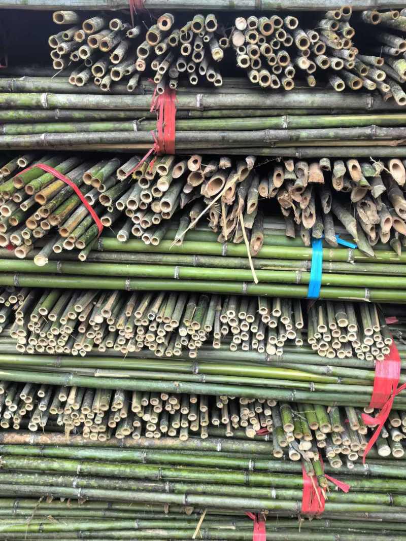 优质竹竿，冬瓜，豆角架，西红柿，百香果，火龙果架杆