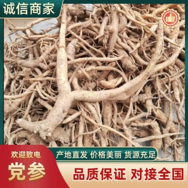 野生土党参，又名奶浆根香味十足，煲汤入味老少皆宜