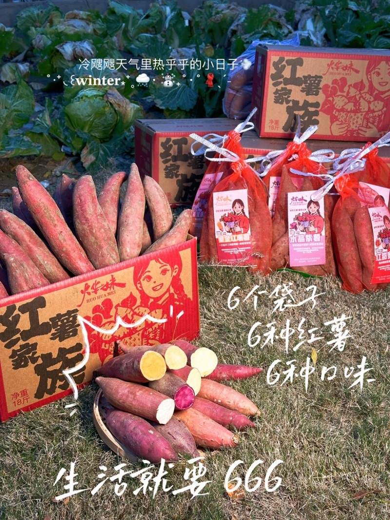 精品红瑶蜜薯已经糖化多种规格甜度50+