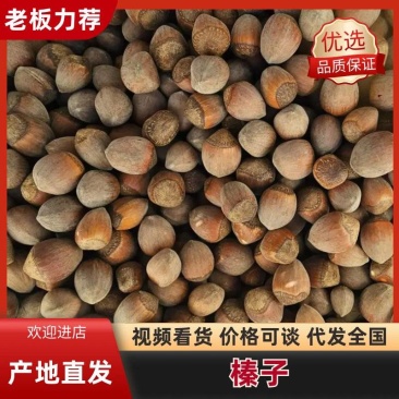 熟榛子薄皮大榛子现炒现卖口感香酥一手货源产地直发