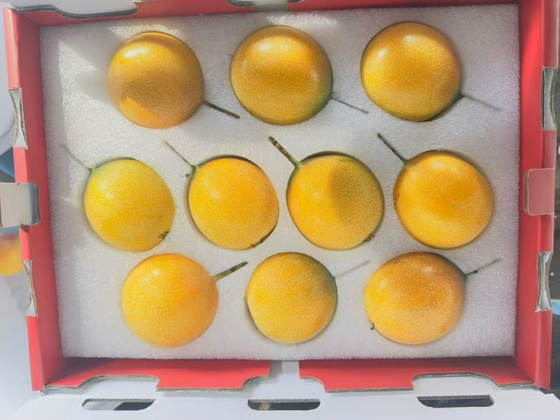 热情果哥伦比亚热情果新品种果实饱满纯甜无酸
