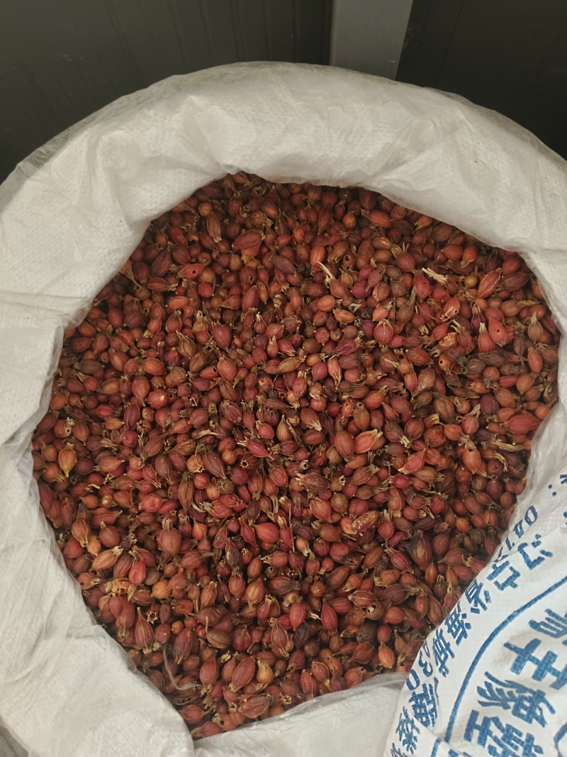 栀子，颜色好新货无硫，产地直发实拍现货，24小时内发货