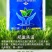 8%胺鲜酯调节生长促进生长增产蔬菜植物生长调节剂