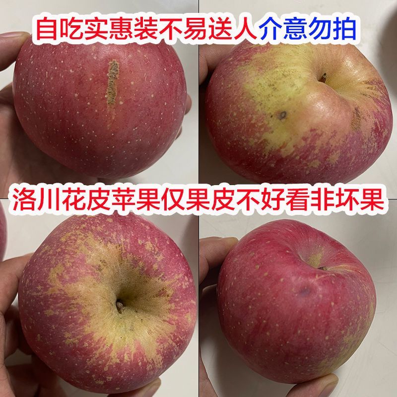 【爆甜】红富士苹果脆甜冰糖心苹果当季新鲜苹果孕妇整箱大果代发