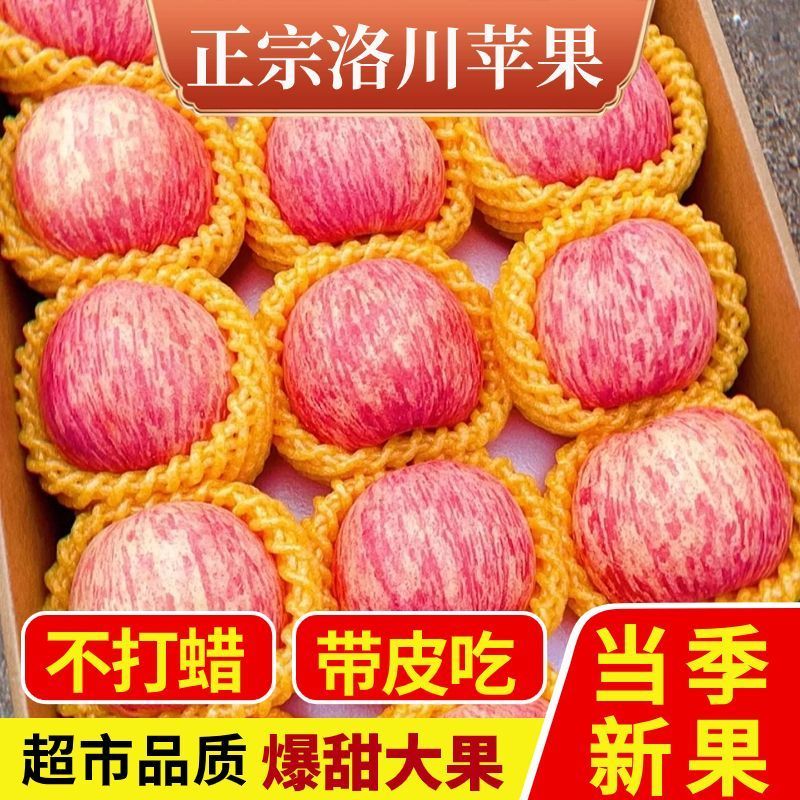 【爆甜】红富士苹果脆甜冰糖心苹果当季新鲜苹果孕妇整箱大果代发