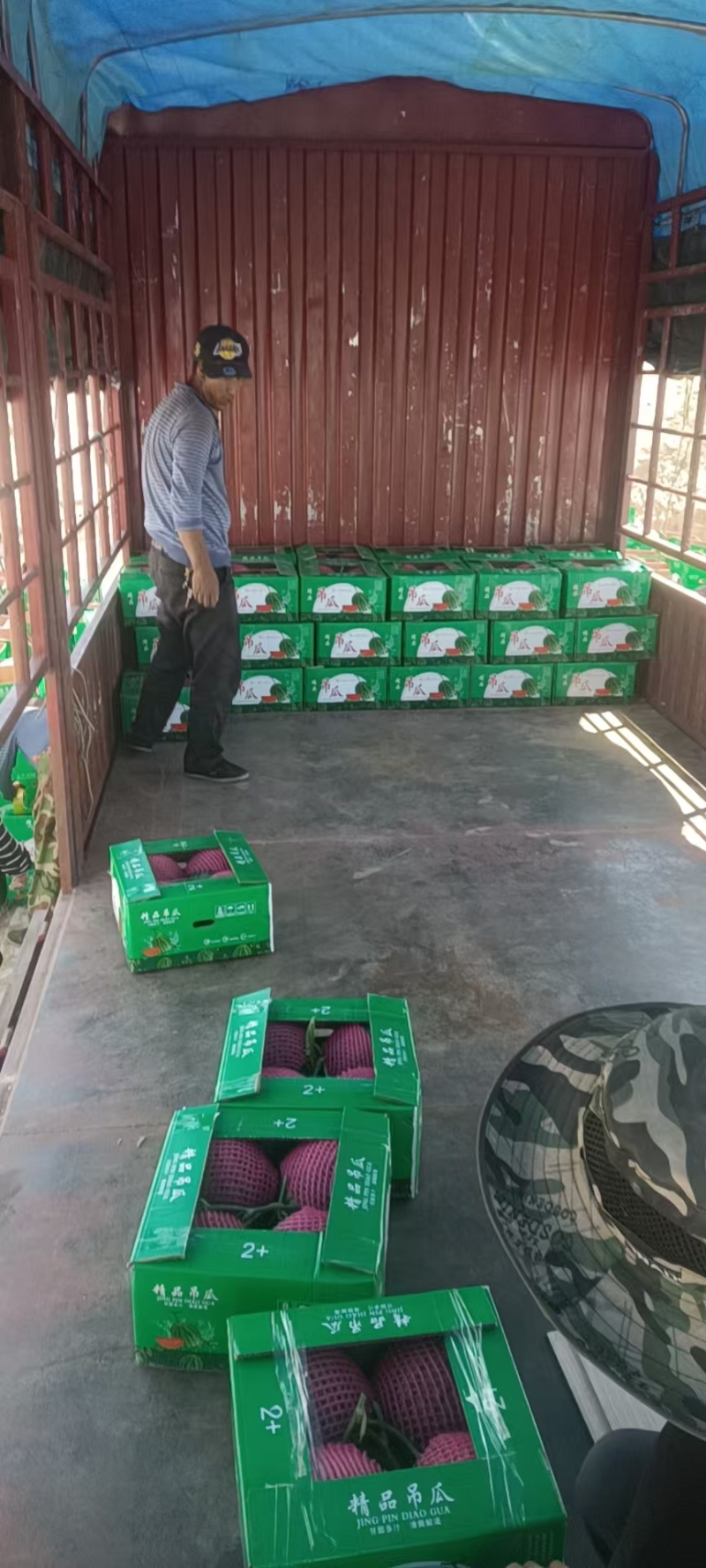 【实力牛商推荐】礼品西瓜吊瓜对接批发商产地直供量大质优
