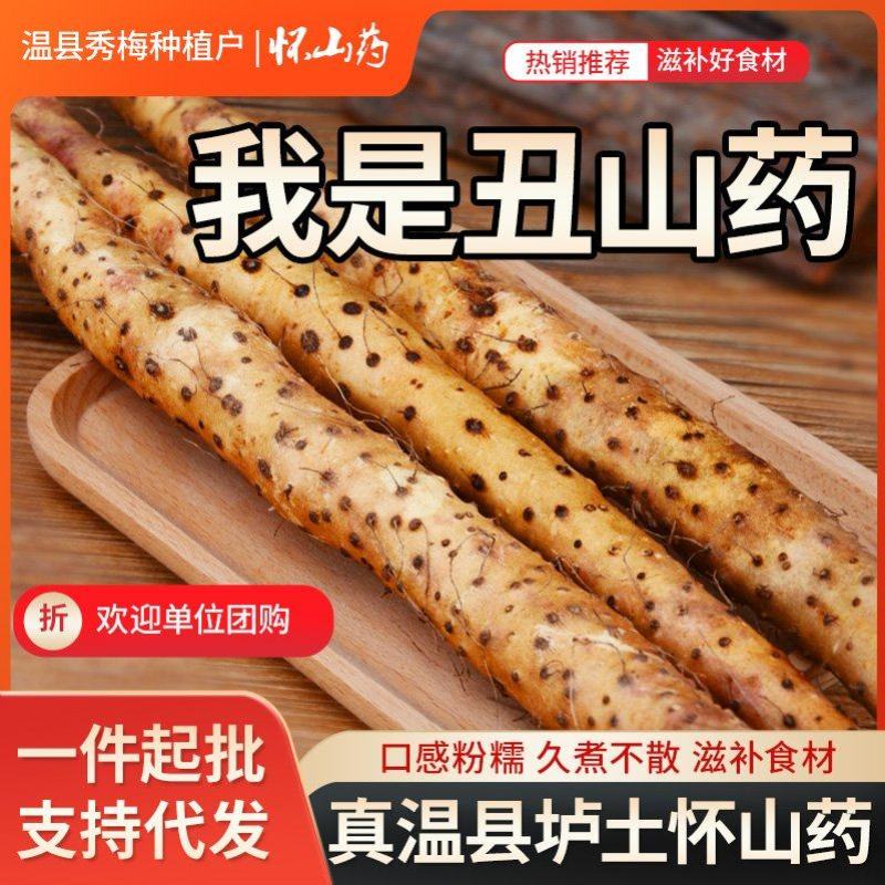 正宗垆土铁棍山药河南焦作温县特产铁杆淮山药怀山药新鲜批发