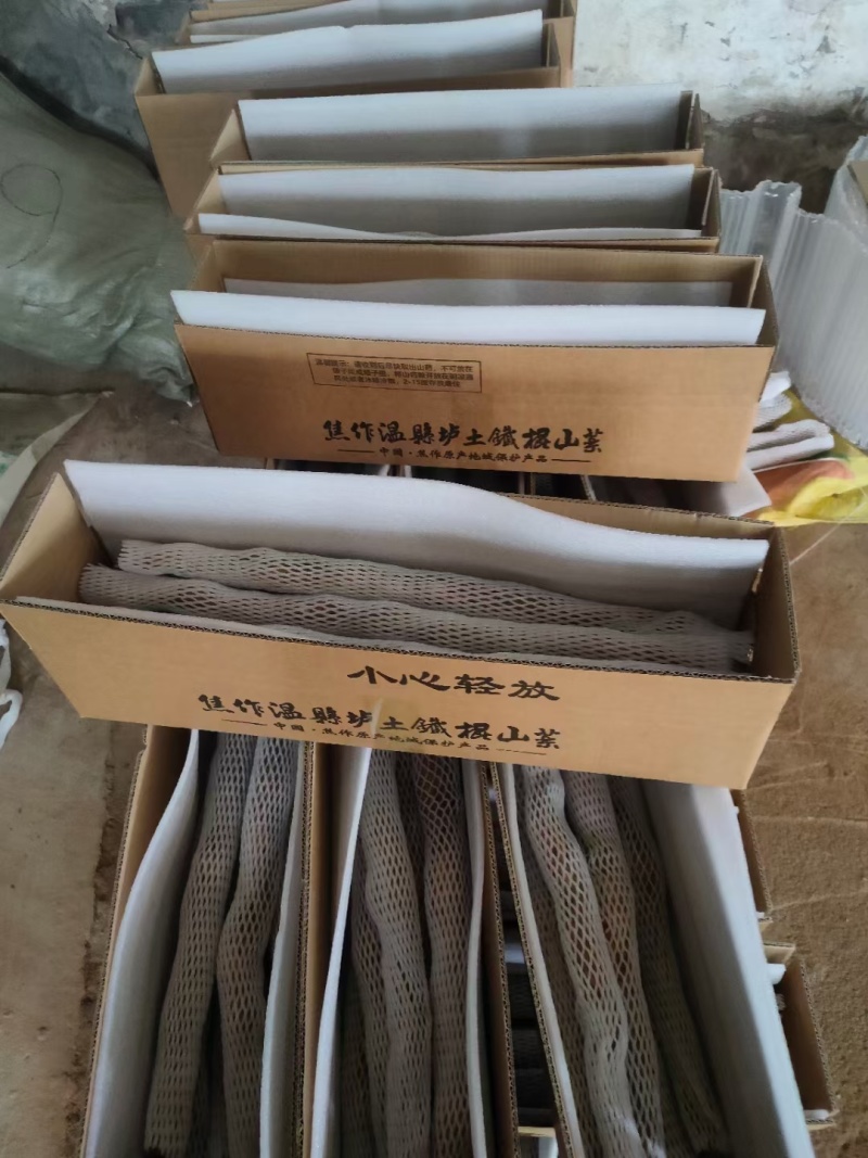 正宗垆土铁棍山药河南焦作温县特产铁杆淮山药怀山药新鲜批发