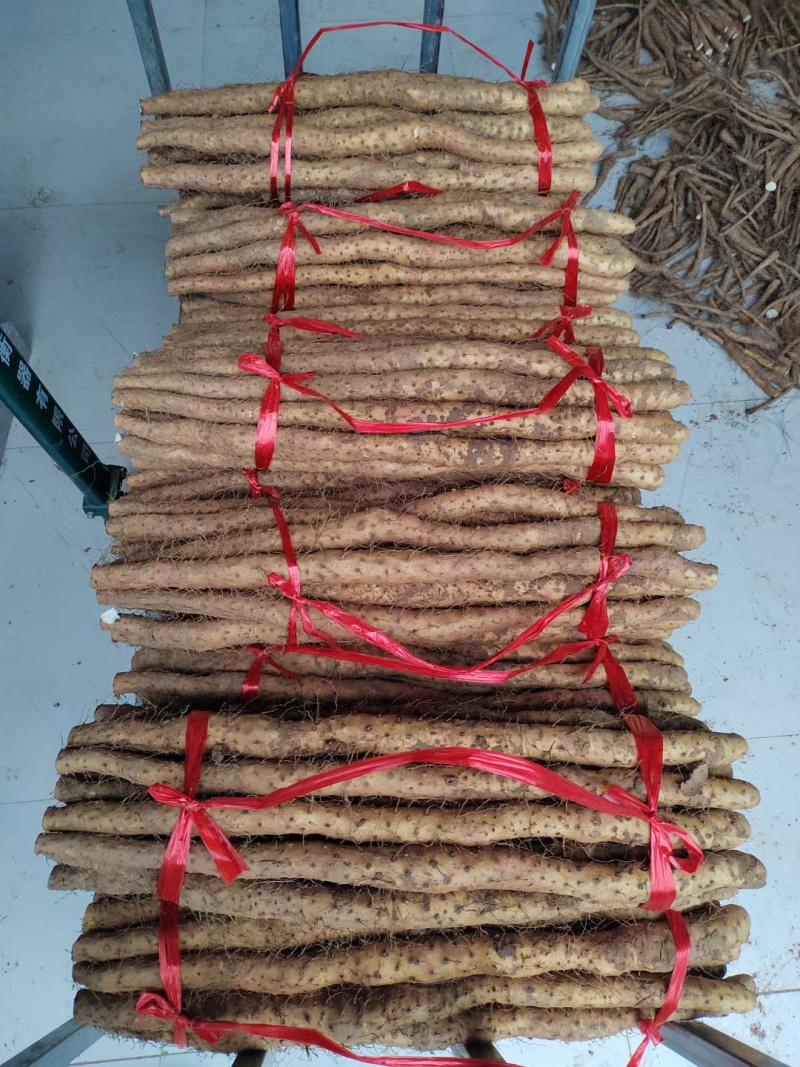 正宗垆土铁棍山药河南焦作温县特产铁杆淮山药怀山药新鲜批发