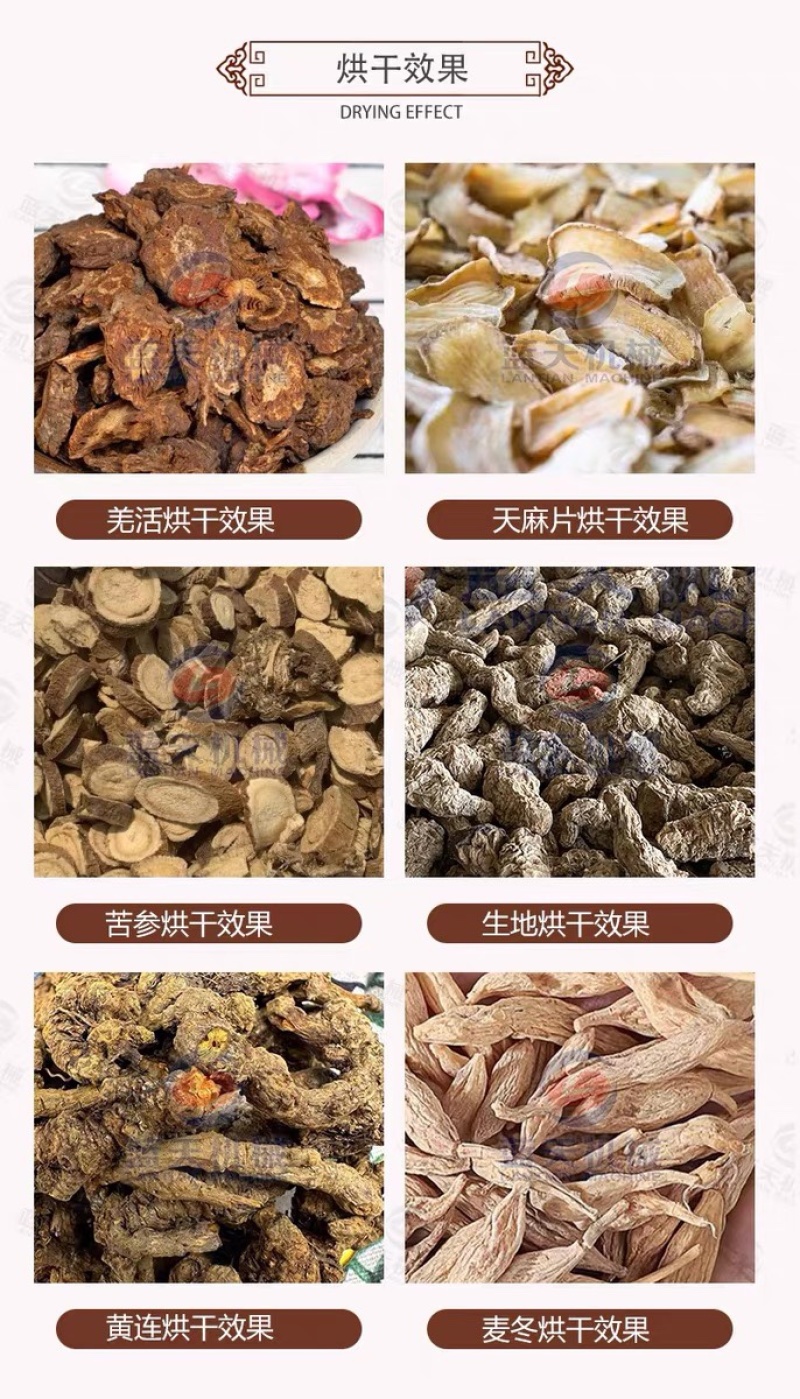 天麻片烘干机药材切片干燥机天麻清洗切片烘干加工生产线