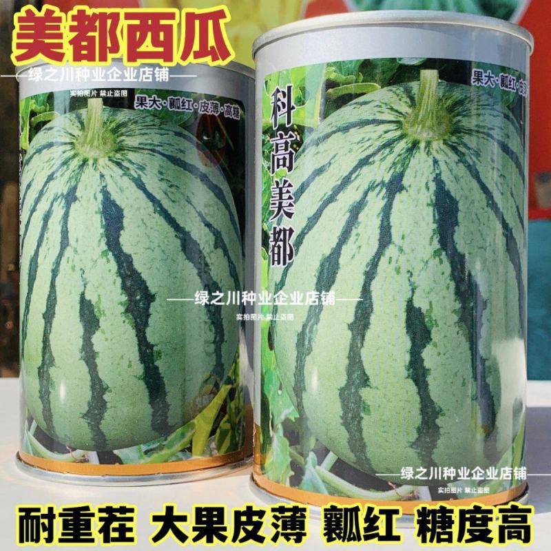 正宗科高美都西瓜种子正品大果耐重茬皮薄瓤红西瓜种籽糖度高