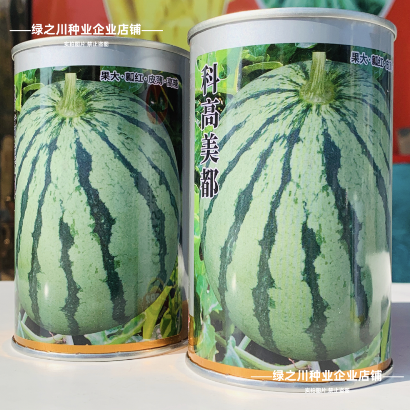 正宗科高美都西瓜种子正品大果耐重茬皮薄瓤红西瓜种籽糖度高