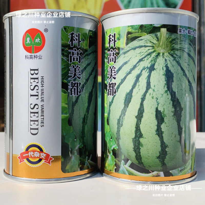 正宗科高美都西瓜种子正品大果耐重茬皮薄瓤红西瓜种籽糖度高