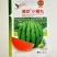 冀欢小糖丸西瓜种子高糖早熟抗病耐裂礼品西瓜种子高端小西瓜